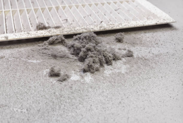 Best Affordable HVAC Duct Cleaning  in Meadow Oaks, FL